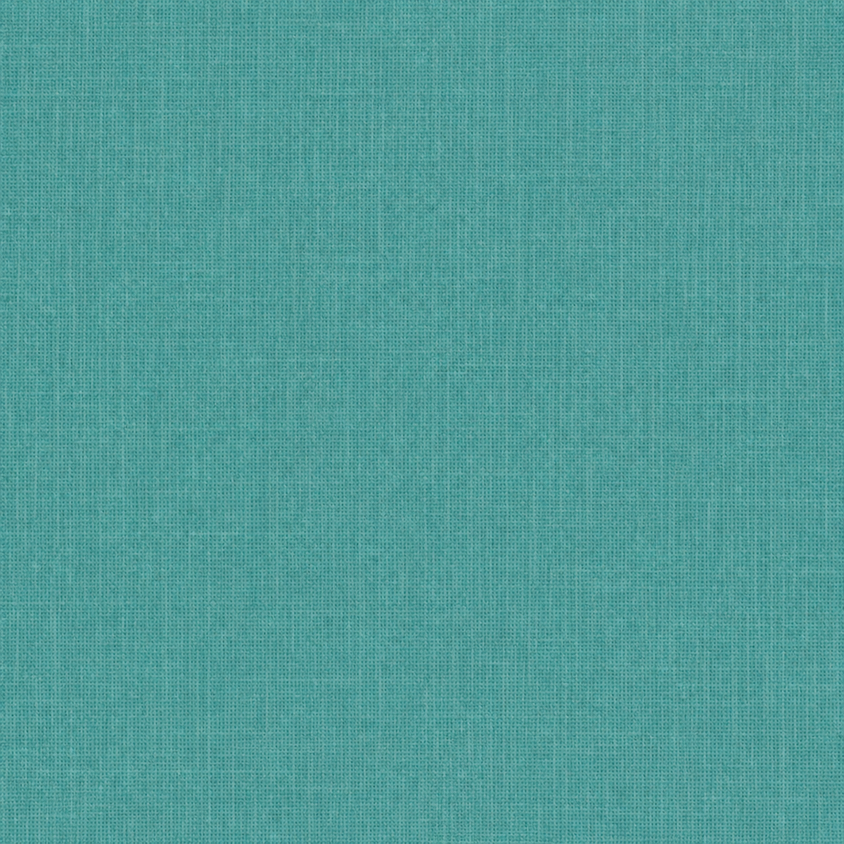 Adventure Awaits Solids Collection
