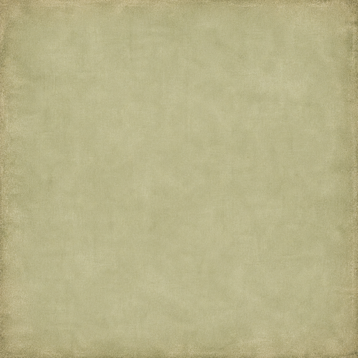 Rooted in Time - Coordinating Solids Collection