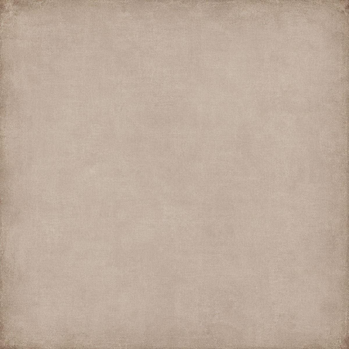 Rooted in Time - Coordinating Solids Collection