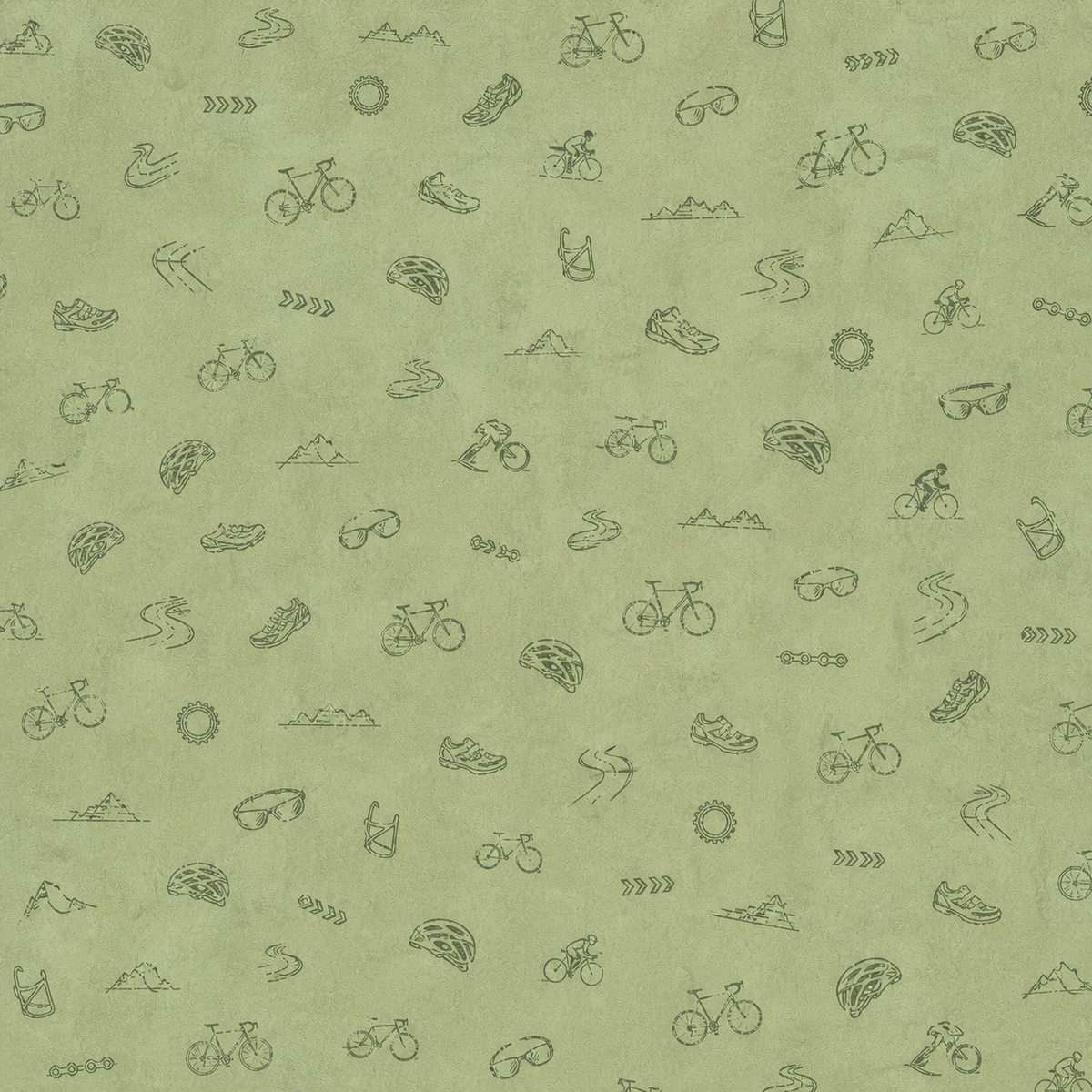 Chasing the Finish Line - A Triathlon Paper Collection