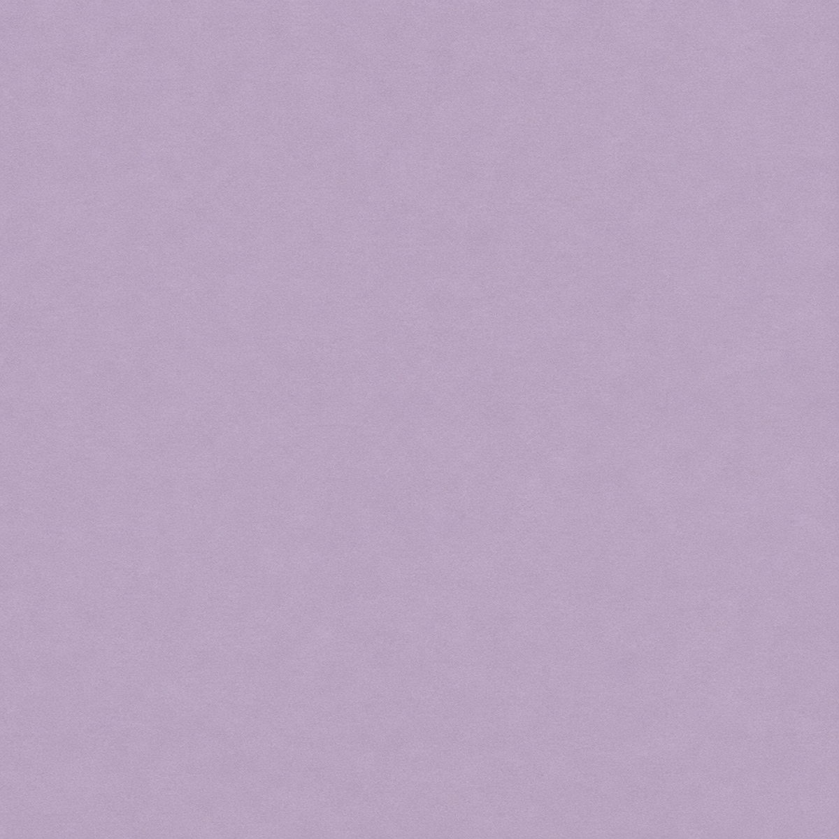 Whispering Meadows Solids Collection