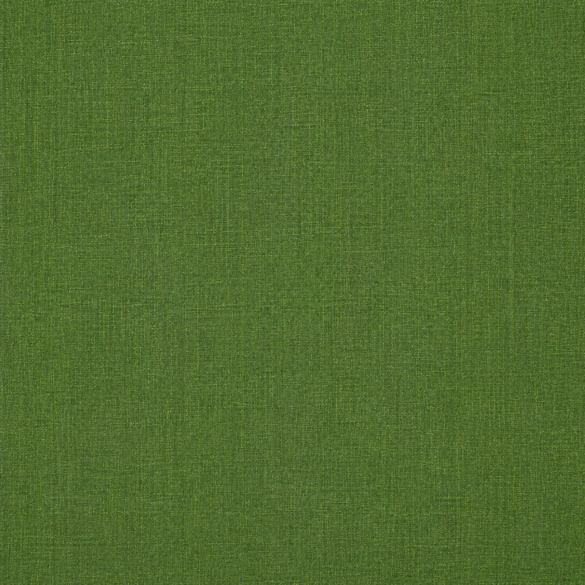 Clover & Champions - Solids & Gingham - A 4H Inspired Collection