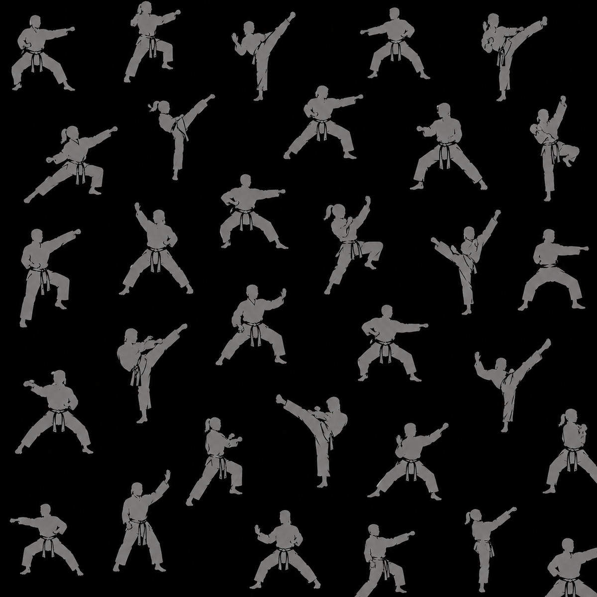 Fierce & Focused - A Martial Arts Collection