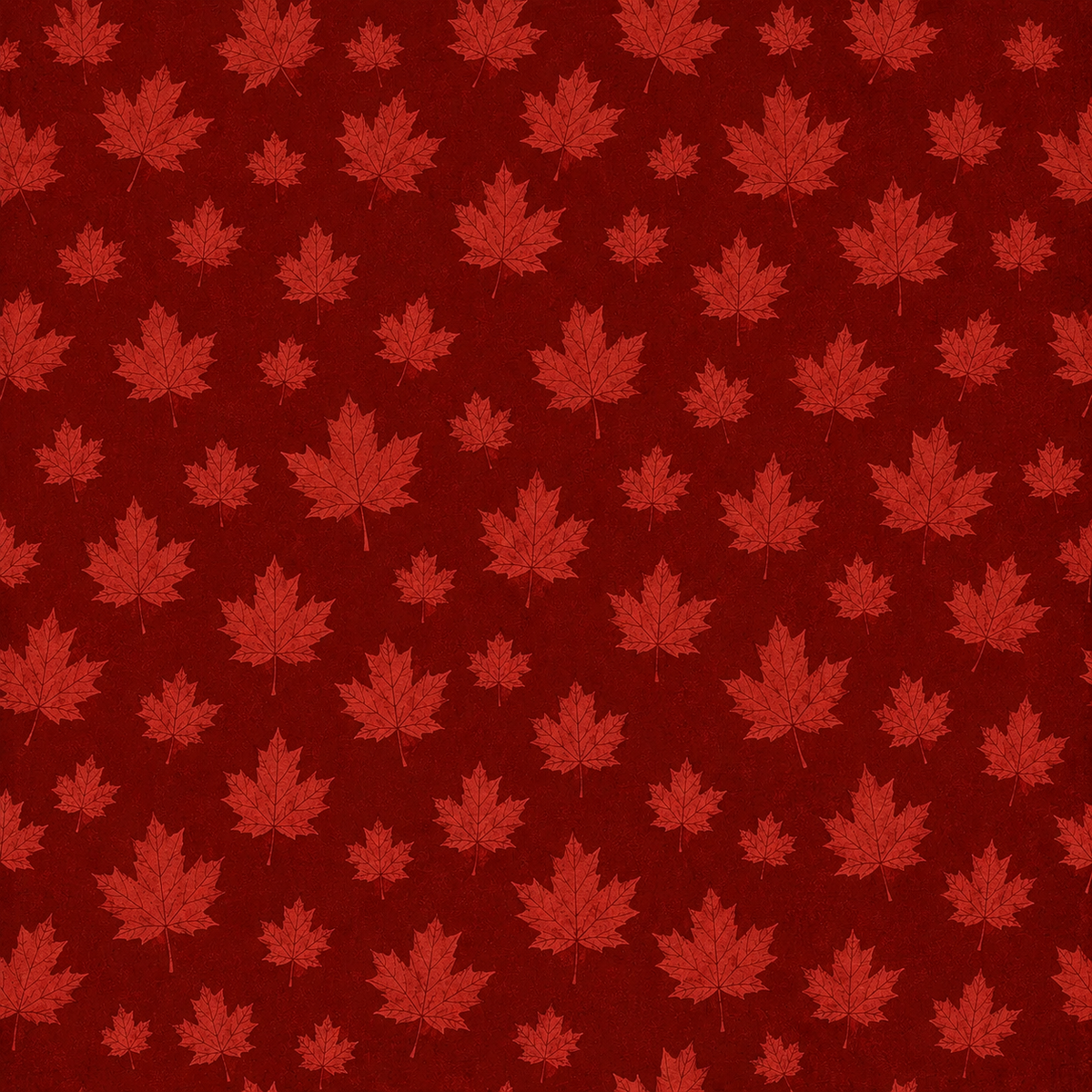 True North - A Canadian Collection