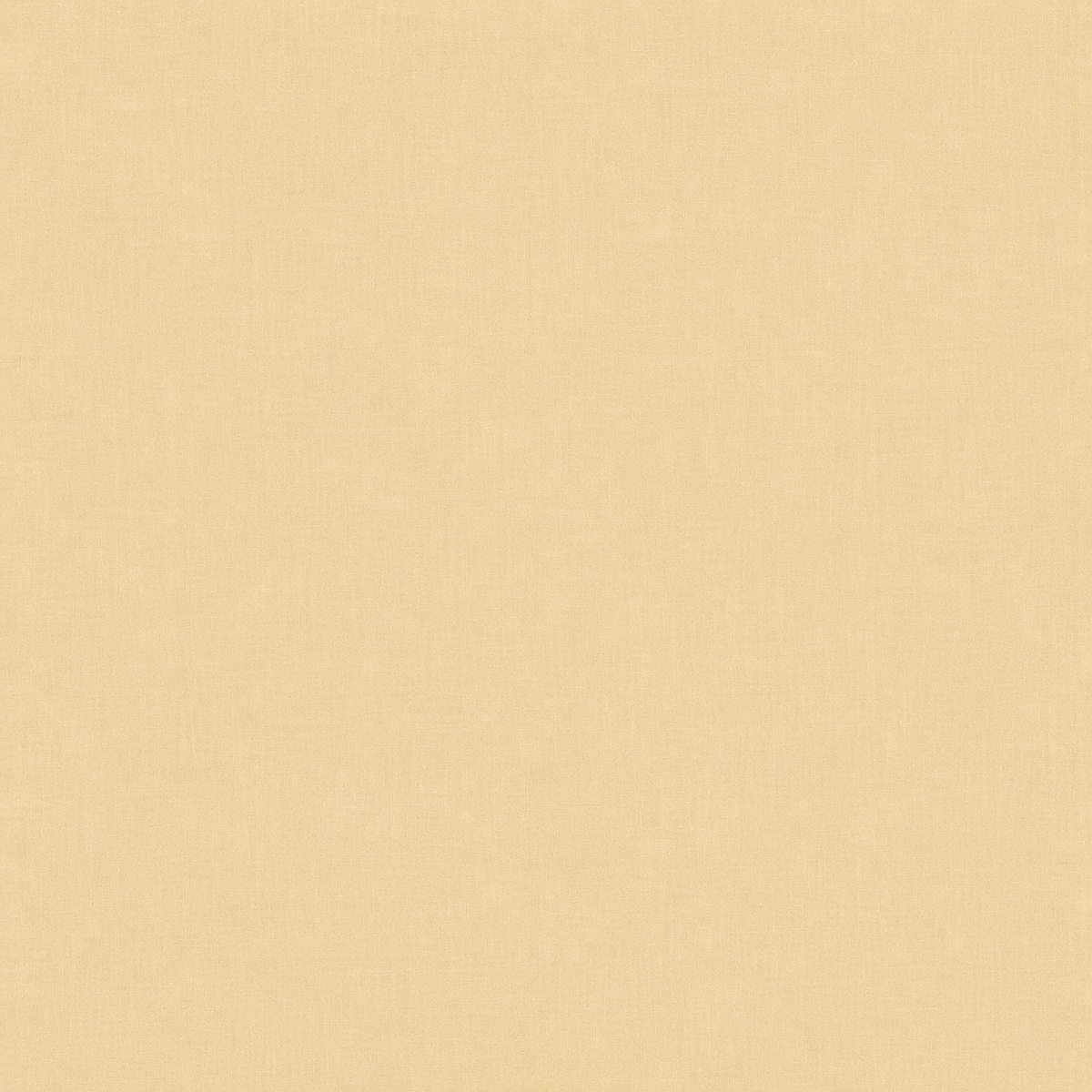 Seashell Days - Solids Pack