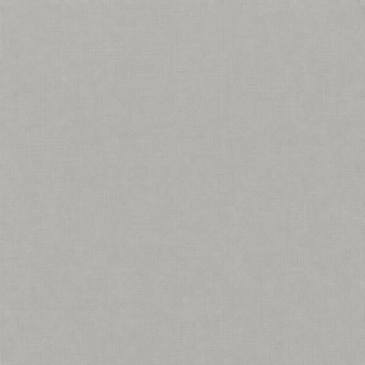 Fierce & Focused - Solids Paper