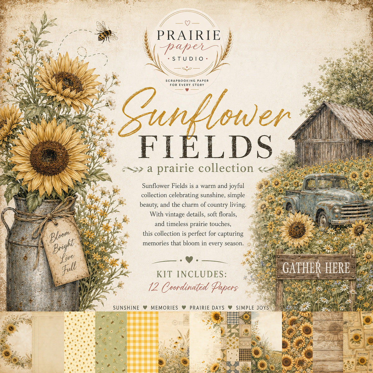 Sunflower Fields 12x12 Collection